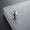 Knob 1044 | Crystal | Gold